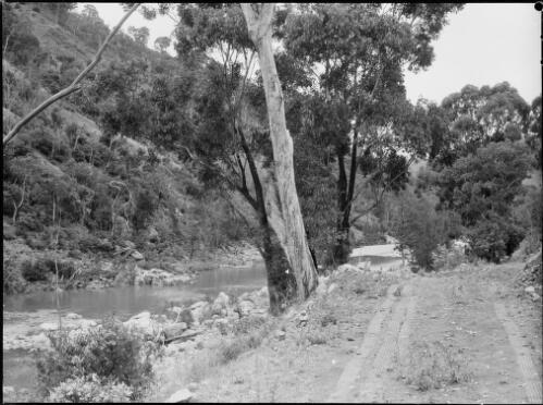Track beside the Wollondilly River, New South Wales, ca. 1945 [picture] / E.W. Searle