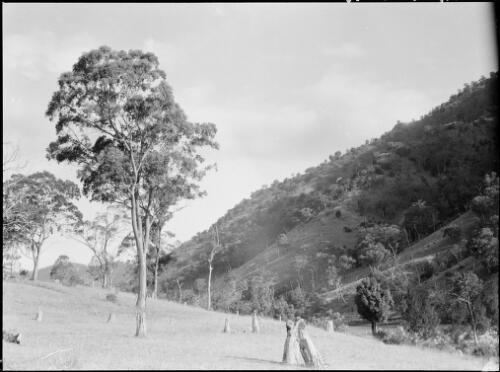 Valley in the Wollondilly River region, New South Wales, ca. 1945,1 [picture] / E.W. Searle