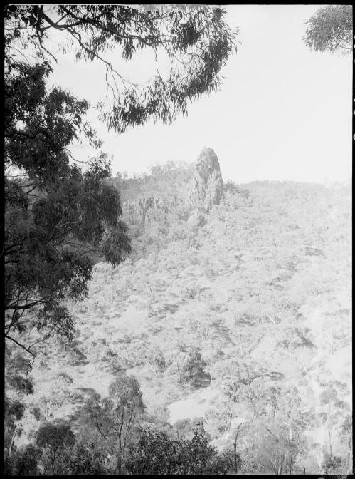 Rock feature protruding above trees, Australia, ca. 1935 [picture] / E.W. Searle
