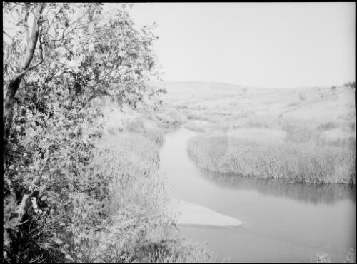 Reed infested river with treeless hills on the far bank, Australia, ca. 1935 [picture] / E.W. Searle