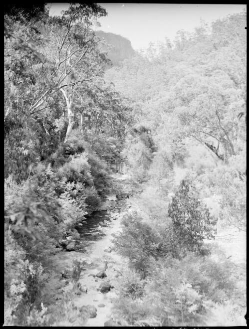River in a wooded valley, Australia, ca. 1935 [picture] / E.W. Searle