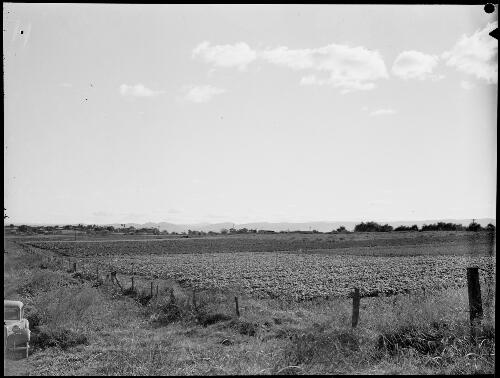 E.W. Searle 's Citroen parked beside a cultivated field, Australia, ca. 1945 [picture] / E.W. Searle