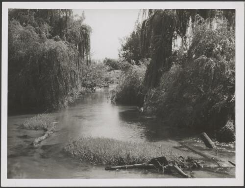 Unidentified river, Australia, ca. 1935, 2 [picture] / E.W. Searle