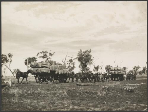 Two teams of clydedales hauling two wagon loads of wool bales, New South Wales, ca. 1935, 1 [picture] / E.W. Searle