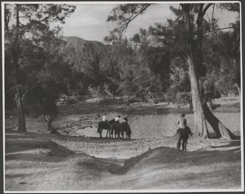Four people on horseback stopping by a river for a drink, Australia, ca. 1945 [picture] / E.W. Searle