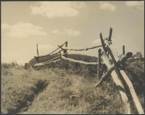Log fencing, Australia, ca. 1935, 1 [picture] / E.W. Searle