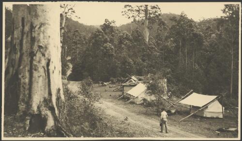 Man walking past a bush camp carrying a billy, Australia, ca. 1935, 1 [picture] / E.W. Searle