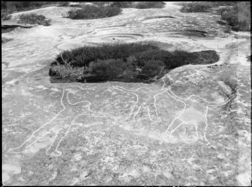 Rock carving of three human forms, North Manly, Sydney, 1953, 2 [picture] / E.W. Searle