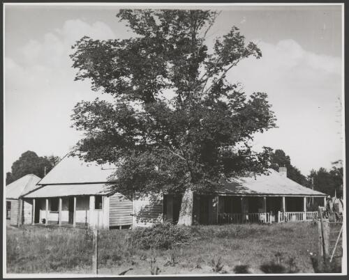 Pilgrim Inn, Blaxland, New South Wales, 1937, 7 [picture] / E.W. Searle