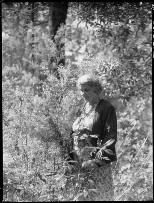 Mrs Searle in the bush, Oxford Falls, Sydney, 1945, 2 [picture] / E.W. Searle