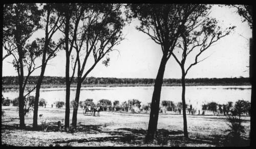 Horse and cart passing Wagin Lake, Western Australia, ca. 1906 [transparency] / E.W. Searle