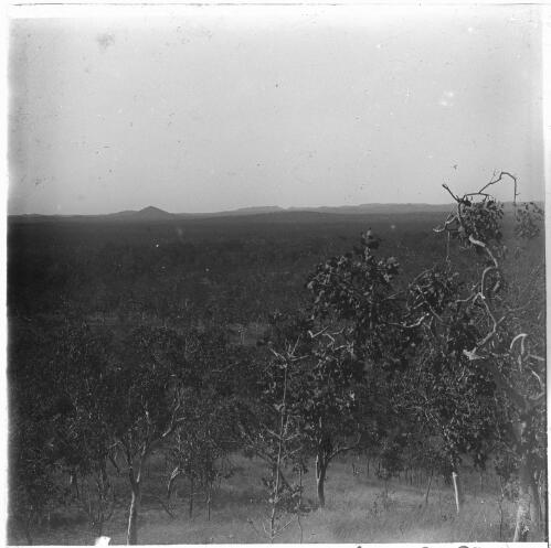View across a plain to a row of hills, Australia, ca. 1920, 1 [transparency] / E.W. Searle