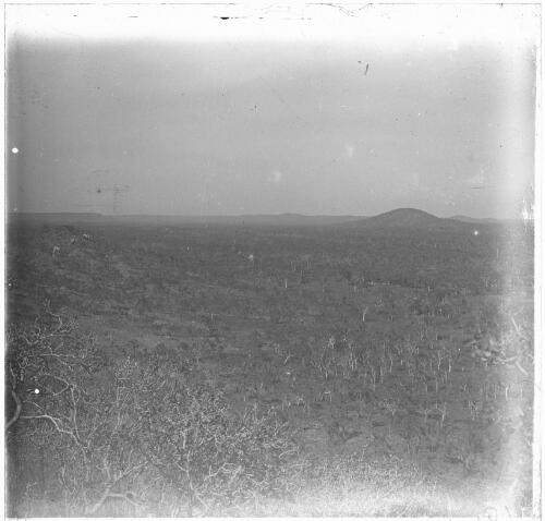 View across a plain to a row of hills, Australia, ca. 1920, 2 [transparency] / E.W. Searle