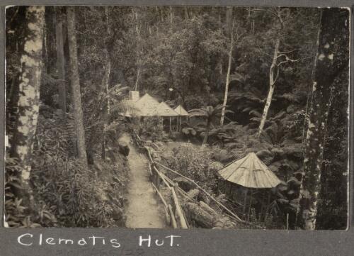 Clematis Hut [Mt. Wellington, Tasmania] [picture]