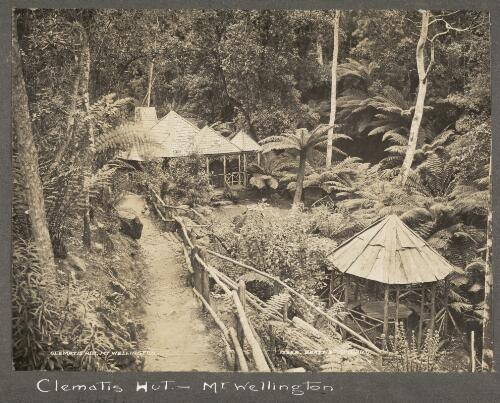 Clematis Hut, Mt. Wellington [picture]