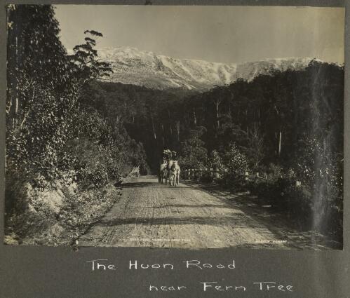 Huon Road, near the Fern Tree [picture]