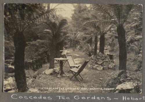 Cascade tea gardens [picture]