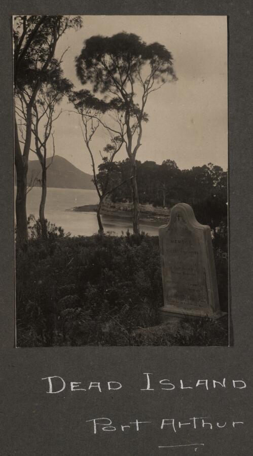 The cemetery, Dead Island, Port Arthur [Tasmania] [picture]