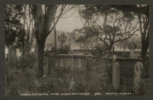 "Among the tombs", Dead Island, Port Arthur [Tasmania] [picture]