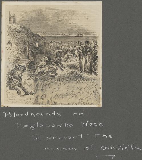 Bloodhounds on Eaglehawk Neck to prevent the escape of convicts, Tasmania [picture]