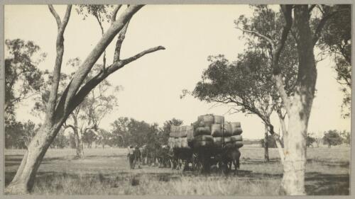 Horse-drawn carriage transporting wool bales, New South Wales, ca. 1935, 1 [picture] / Edward Searle