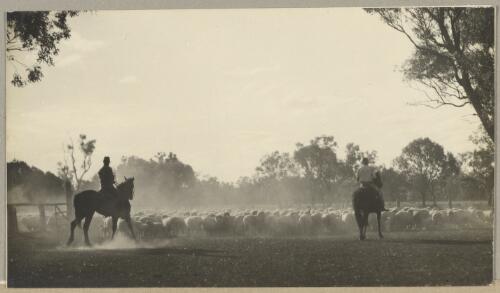 Two men on horseback mustering sheep, New South Wales, ca. 1935 [picture] / Edward Searle