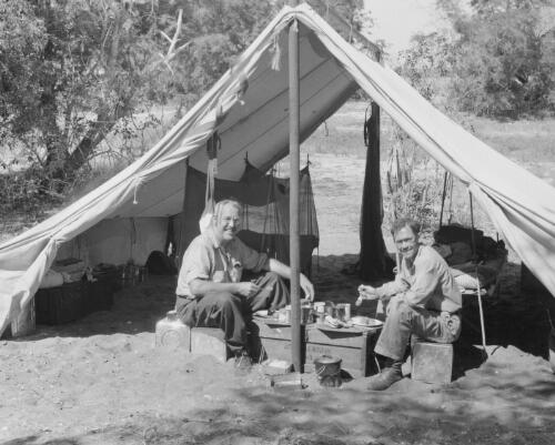 F.M. Setzler, left, and F.D. McCarthy eating dinner in their tent on Winchilsea Island where we excavated several Malay graves, June 4, 1948 [picture]