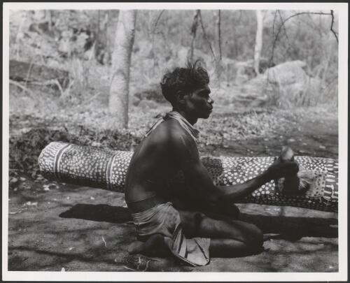 Pounding the Balnuknuk, a log drum beaten continuously throughout the dance, a small shredded pandanus tree limb is used for beating time on the drum, Oenpelli, October,1948 [picture] / Frank M. Setzler
