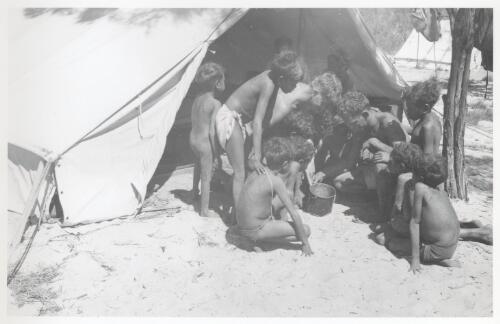Some of our young insect and reptile collectors in front of tent, Umba Kumba, Groote Eylandt, June 1948 [picture] / Frank M. Setzler