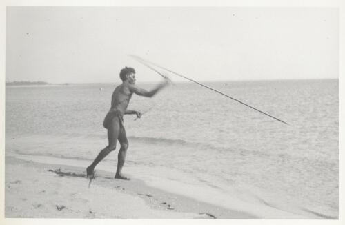Using a fish spear with woomera on the beach of Little Lagoon, Umba Kumba, Groote Eylandt, May 1948 [picture] / Frank M. Setzler