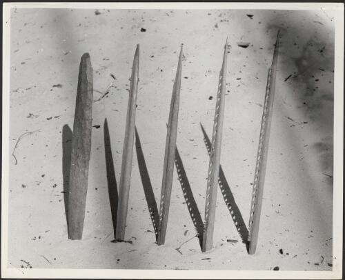 Five steps used in the making of large wooden spear points with uncut barbs, Groote Eylandt, Australia, June 1948 [picture] / Frank M. Setzler