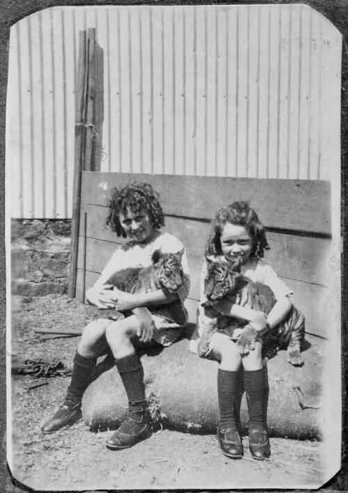 Two young girls holding tiger cubs, during the St. Leon and Sole Brothers Circus and Zoo tour of Australia, ca. 1923 [picture]
