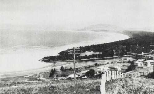 View of Seven Mile Beach, Berry, New South Wales, 1960 [picture]