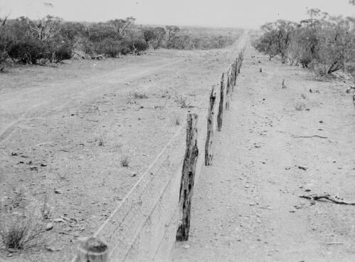 The long road, No. 1 Rabbit Proof Fence, Western Australian, 1926 [picture] / F.H. Broomhall
