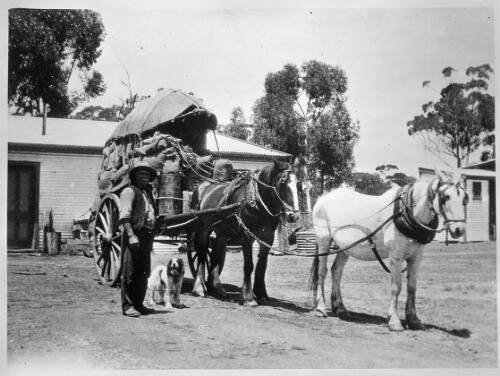 Boundary rider, Harry Reynolds with his supply cart, Burracoppin Depot, Western Australian, 1926 [picture] / F.H. Broomhall