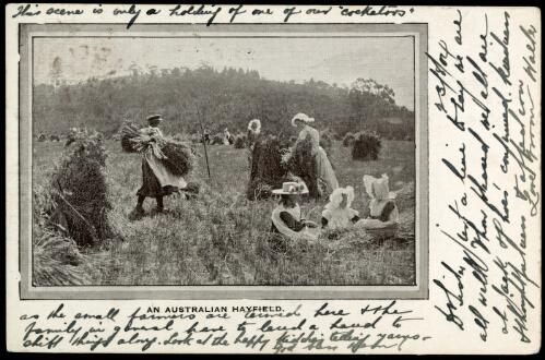 An Australian hayfield, ca. 1904 [picture]