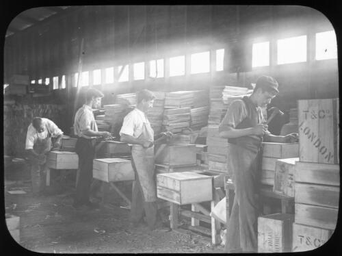Men assembling wooden boxes by hand [transparency] : miscellaneous glass slide / [John Flynn?]