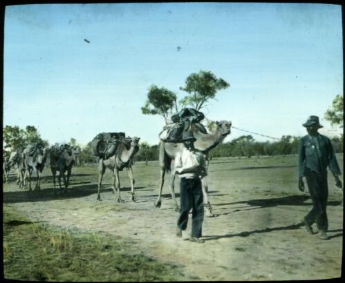 Two men and camels in the outback [transparency] : taken on survey trip undertaken in 1927 by Rev. J.A. Barber and Dr. George Simpson for the Flying Doctor Scheme