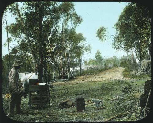 Campsite with unidentified man standing near tree [transparency] : miscellaneous glass slide / [John Flynn?]