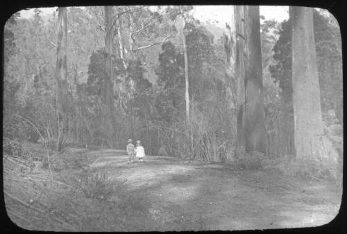 Two children holding hands on dirt road in forest [transparency] : miscellaneous glass slide / [John Flynn?]