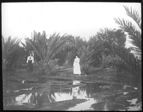 Two unidentified women standing amongst date palms, Lake Harry Station, Marree Region, South Australia [?] [transparency] : miscellaneous glass slide / [John Flynn?]
