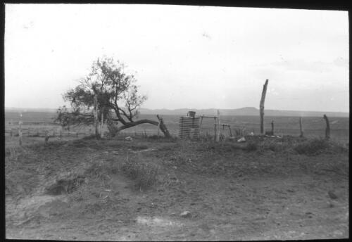 Unidentified outback spring [transparency] : miscellaneous glass slide / [John Flynn?]