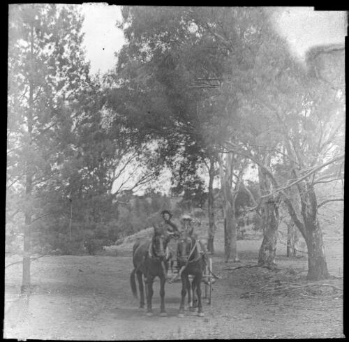 Two unidentified women sitting in a horse cart, Moolooloo, South Australia [transparency] : lantern slide used by Rev. F.H. Paterson, north South Australia / [John Flynn?]
