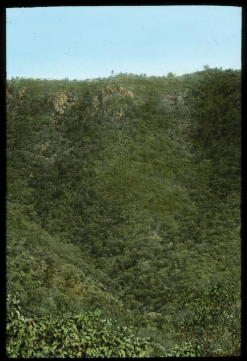View looking down the mountain [transparency] : a lantern slide used by John Flynn in lectures / [John Flynn]
