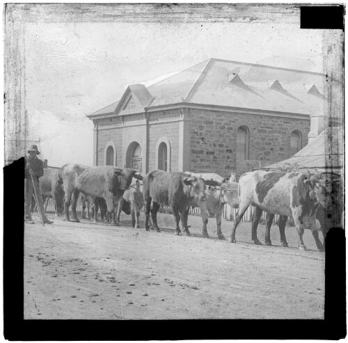 Forresters' Hall, Blinman, South Australia [transparency] : lantern slide used by Rev. F.H. Paterson, north South Australia / [John Flynn?]