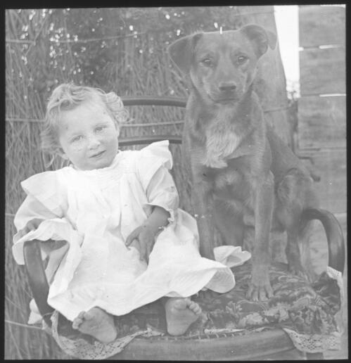 Unidentified child and dog sitting on a chair [transparency] : miscellaneous glass slide / [John Flynn?]