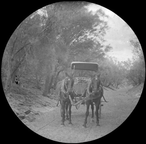 Breakfast-time Creek, South Australia, 1910 [transparency] : lantern slide used by Rev. F.H. Paterson, north South Australia / [John Flynn?]