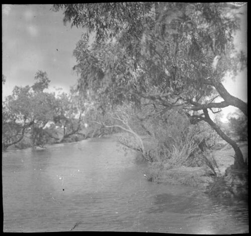 Angle Pole Waterhole, Oodnadatta, South Australia, March 1910 [1] [transparency] : lantern slide used by Rev. F.H. Paterson, north South Australia / [John Flynn?]