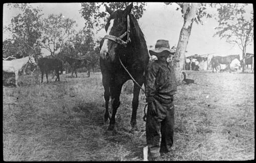 Unidentified man wearing a hat standing with a horse, other horses and a camp in the background [transparency] : taken on a survey trip undertaken in 1927 by Rev. J.A. Barber and Dr. George Simpson for the Flying Doctor Scheme