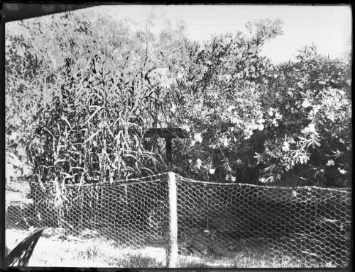 Unidentified house [2] [picture] : Fred McKay Cape York Peninsula and West Queensland Patrol 1938-1940 / [Fred McKay]